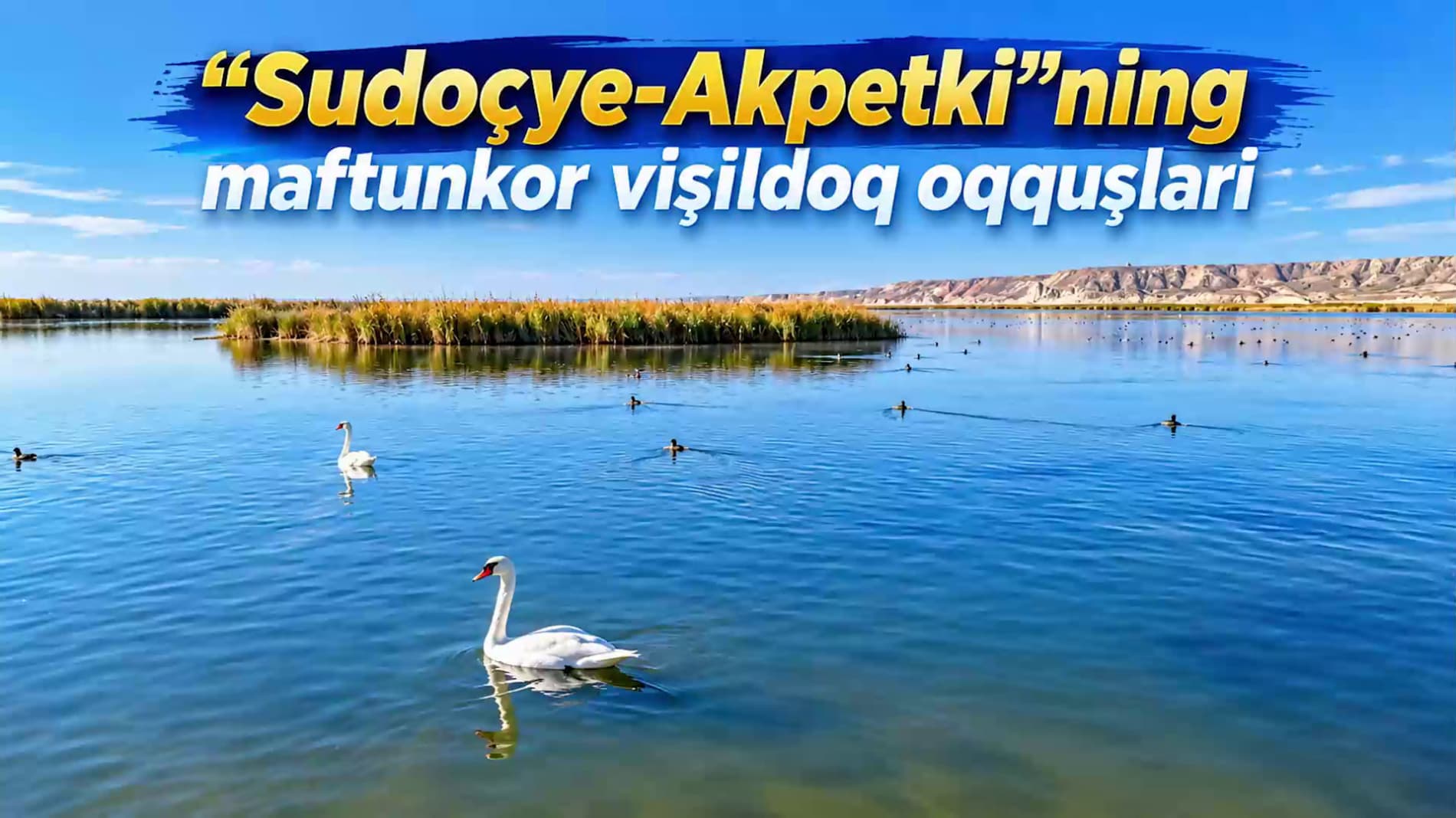 "Sudoçye-Akpetki"ning maftunkor vişildoq oqquşlari