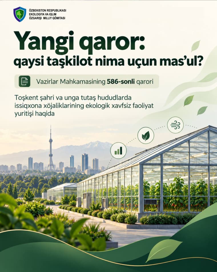 Yangi qaror: qaysi tashkilot nima uchun mas'ul?