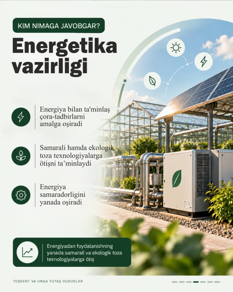Yangi qaror: qaysi tashkilot nima uchun mas'ul?