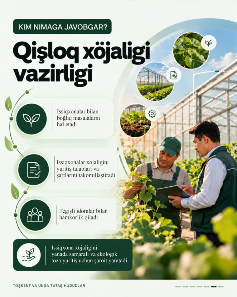 Yangi qaror: qaysi tashkilot nima uchun mas'ul?