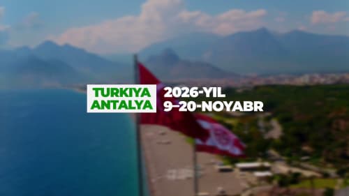 Чего ожидать от COP31?