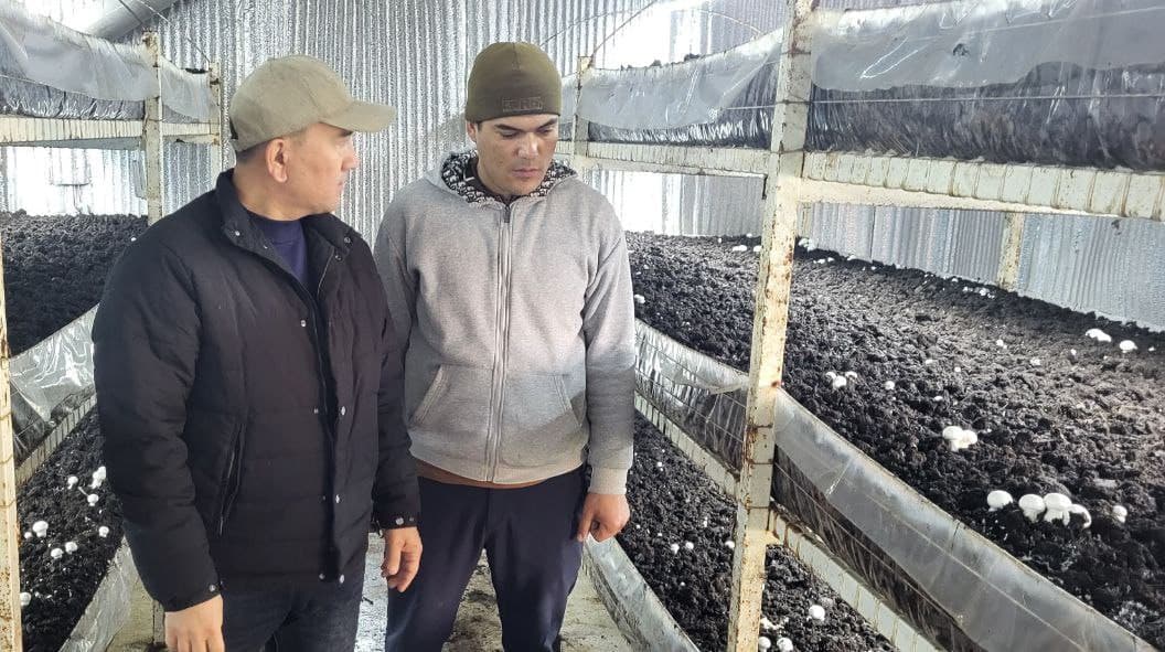 Qibray tajribasi boshqa hududlarga tatbiq etilmoqda