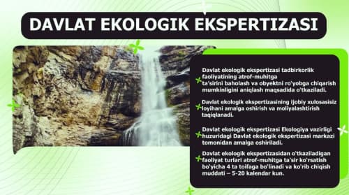 Activities carried out to improve the state environmental expertise system