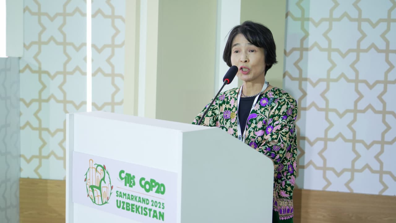 Обсуждены инновационные решения по защите редкой флоры и фауны