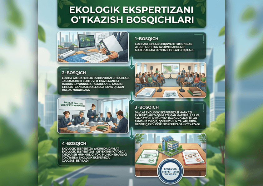 Этапы проведения государственной экологической экспертизы и оценки воздействия на окружающую среду