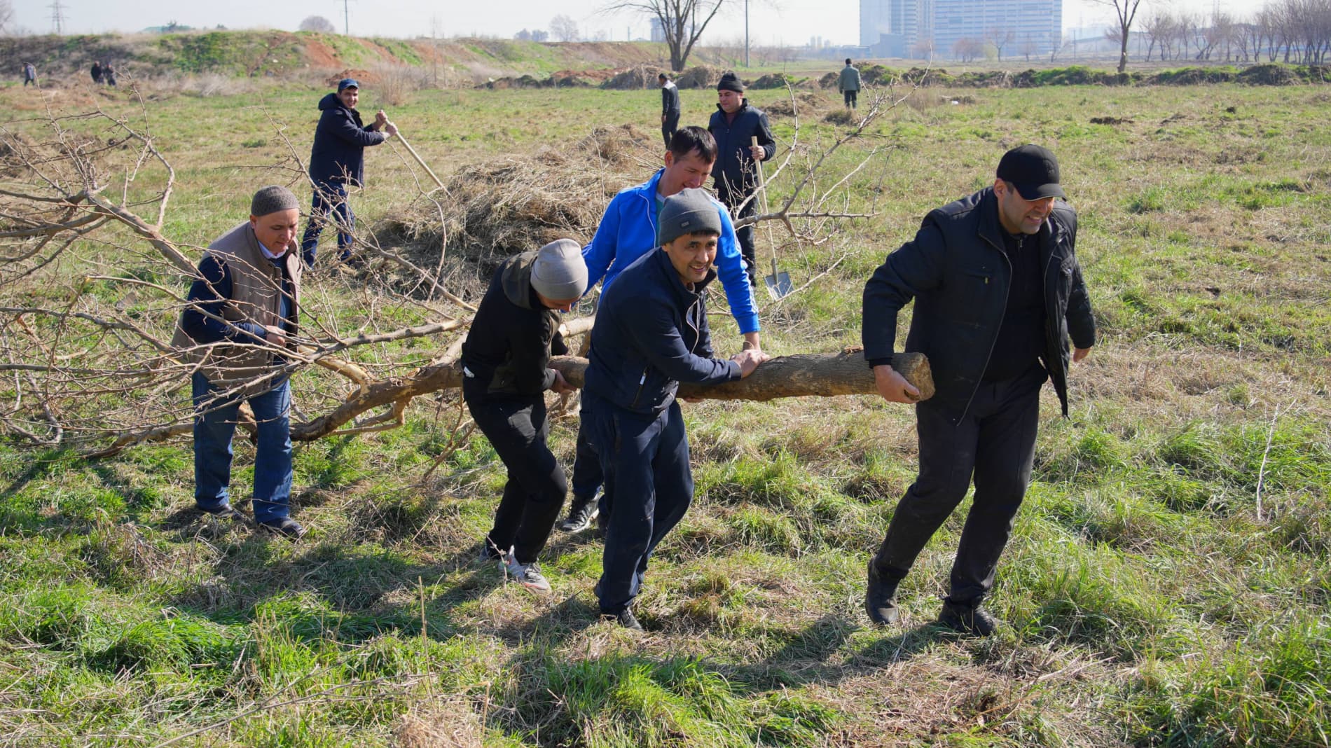 Хашар — символ единства народа и благоустройства страны