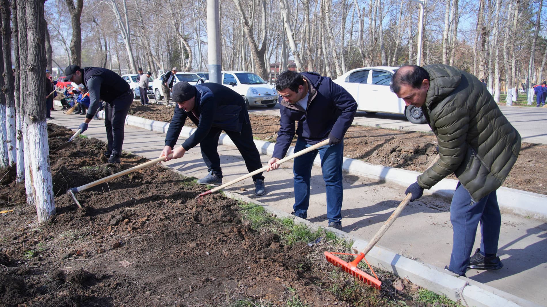 Хашар — символ единства народа и благоустройства страны