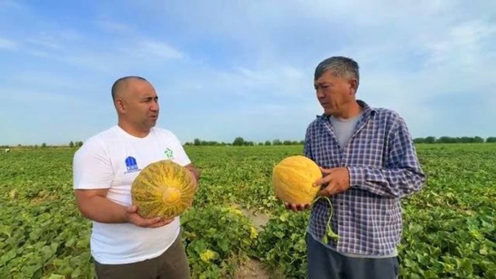 Oqoltin tumanida "Bir kontur – bir mahsulot" tamoyili asosida mahsulot yetishtirishga alohida e’tibor qaratilmoqda.