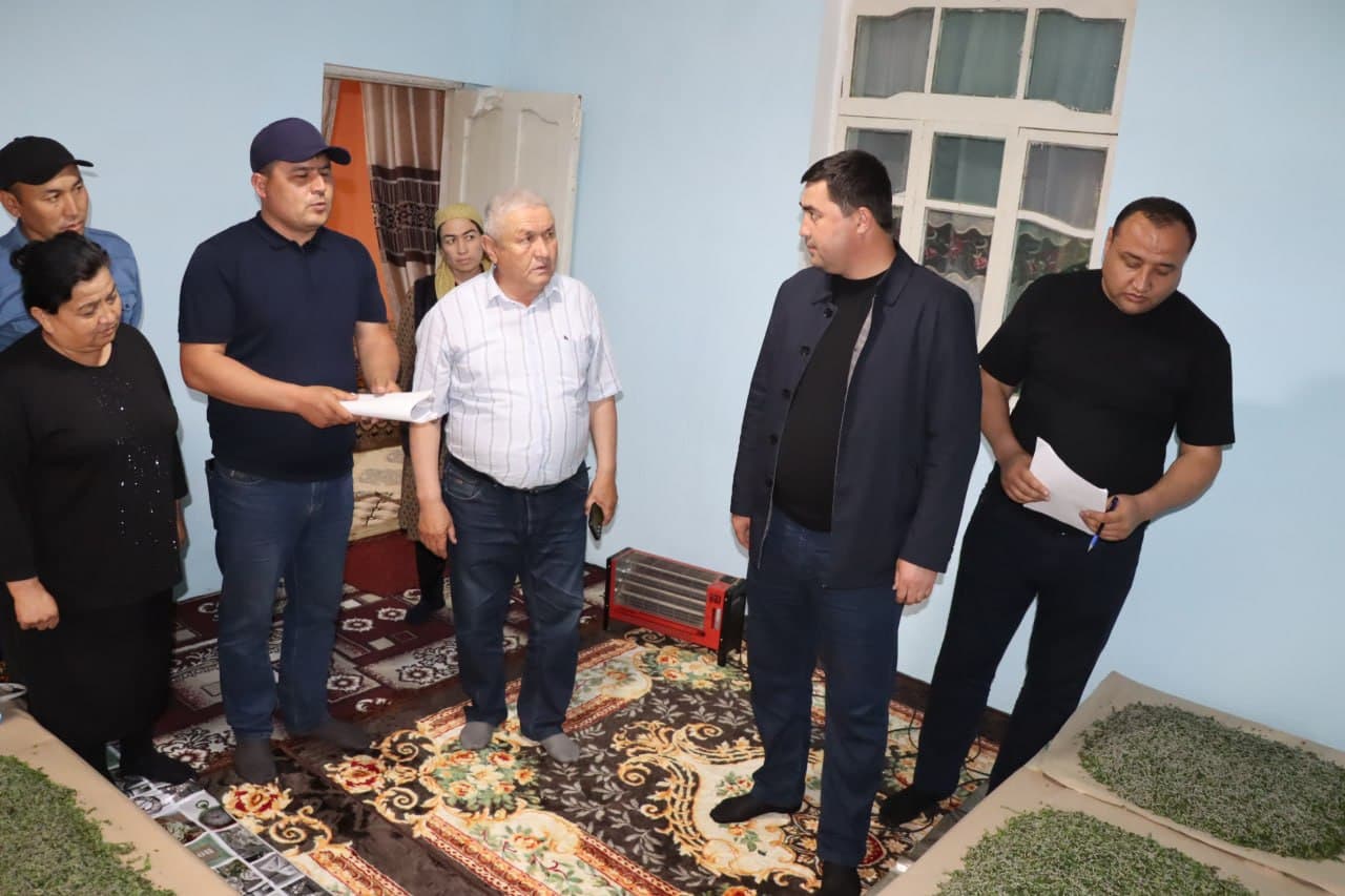 Pilla parvarishi jarayonlari ko‘zdan kechirildi