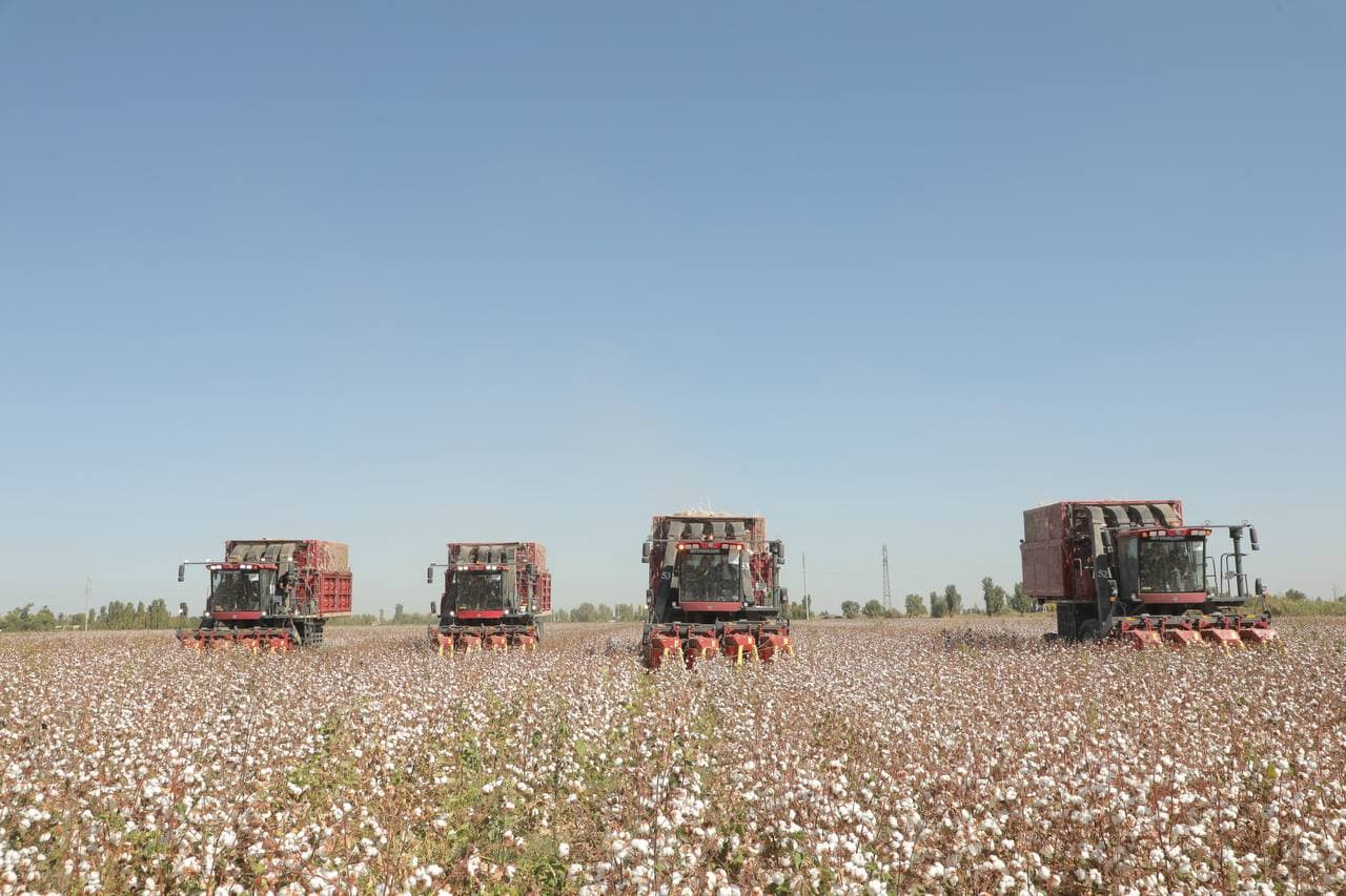 YOSH AGRONOMLAR OQOLTIN DALALARIDA AMALIY TAJRIBA ORTTIRMOQDA