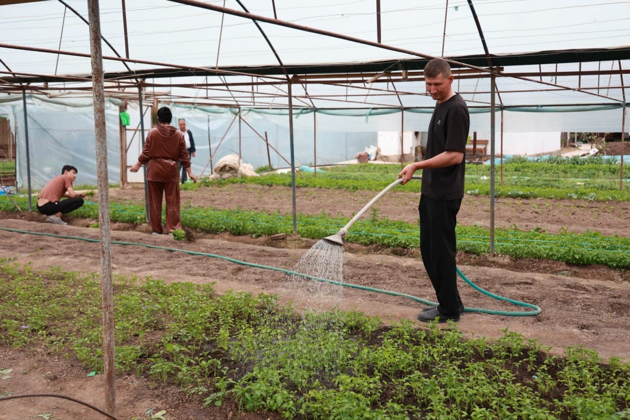 Tomorqa – daromad manbai