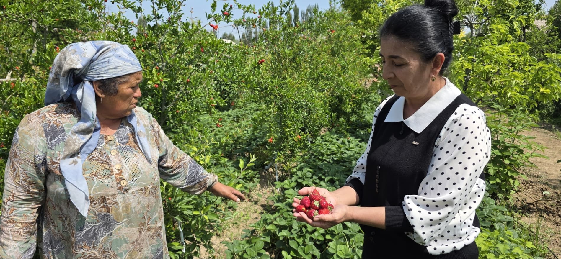 Productive work in Nazarboy mahalla is a source of prosperity!