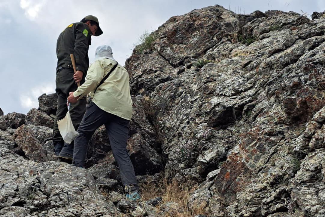 As Part of Geological Cooperation, Field Research Conducted in the Kitab Geological Park