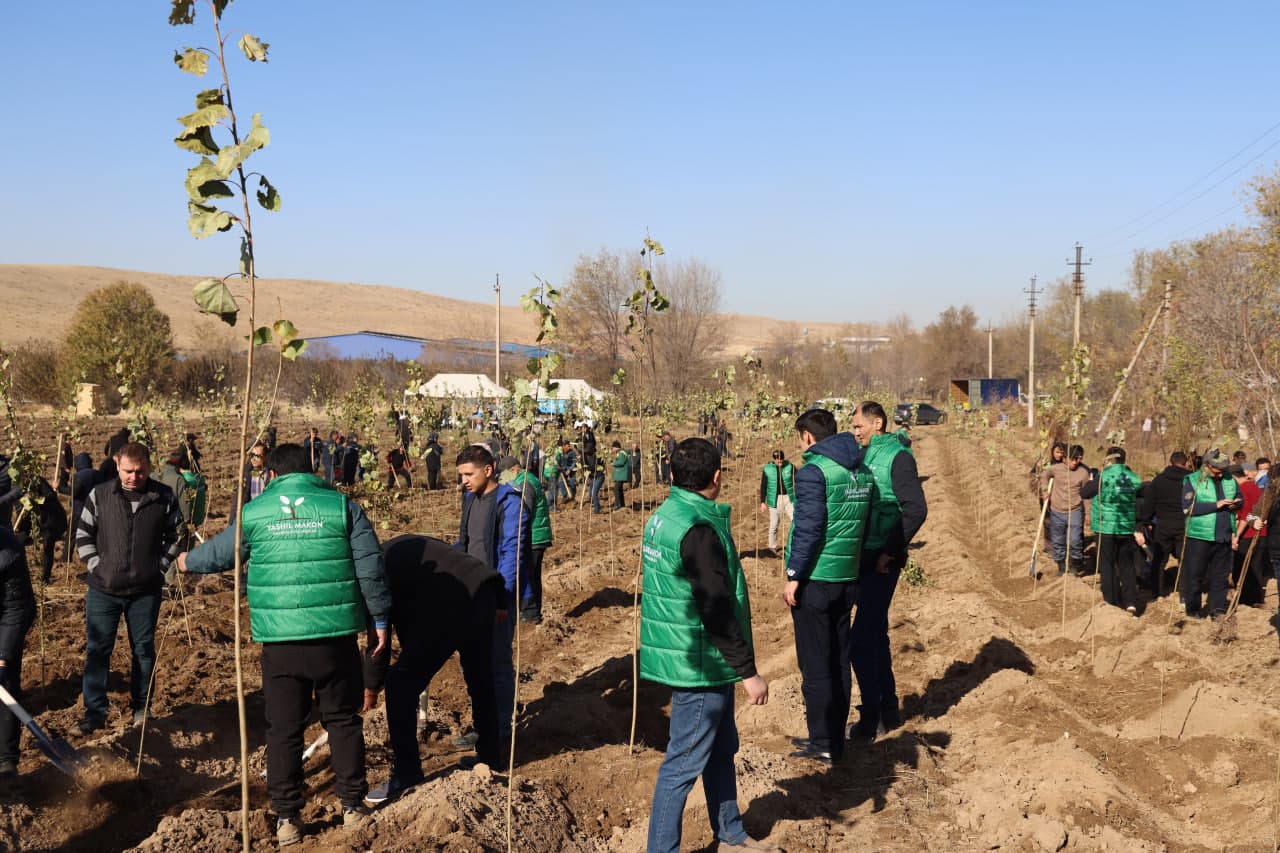 Employees of the Ministry planted saplings in the Akhangaran district as part of the nationwide “Yashil makon” project