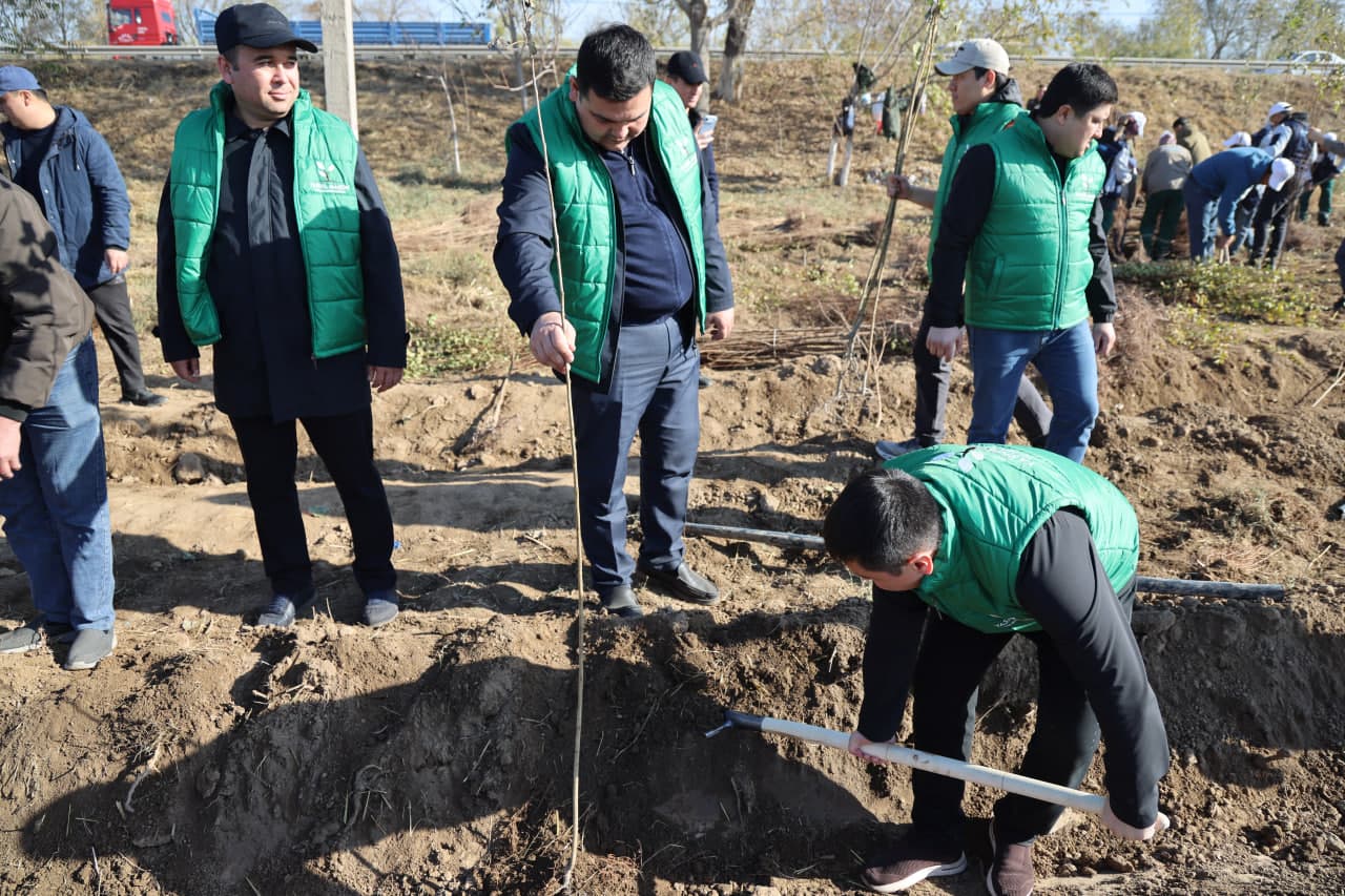 Employees of the Ministry planted saplings in the Akhangaran district as part of the nationwide “Yashil makon” project