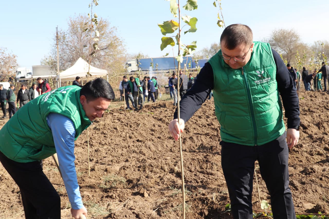 Employees of the Ministry planted saplings in the Akhangaran district as part of the nationwide “Yashil makon” project
