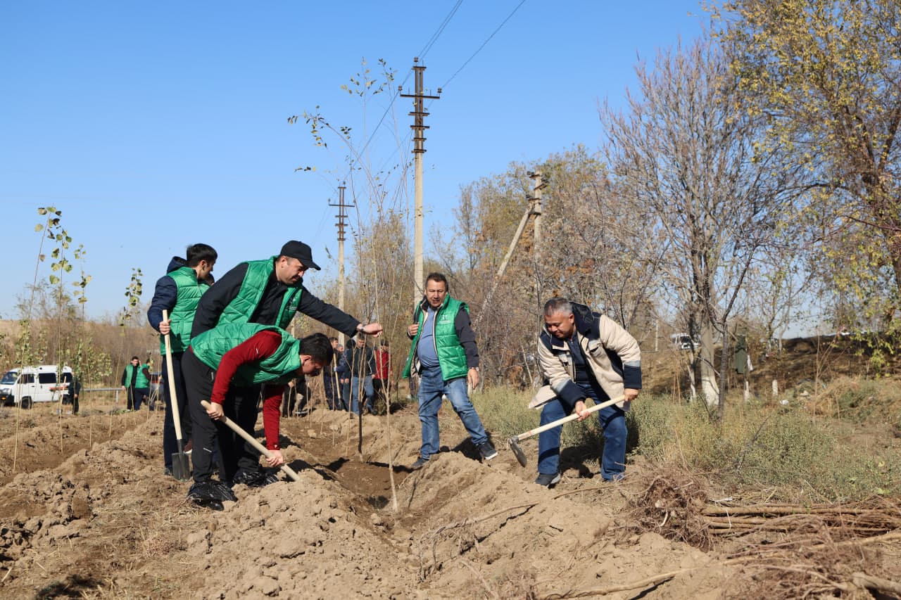 Employees of the Ministry planted saplings in the Akhangaran district as part of the nationwide “Yashil makon” project