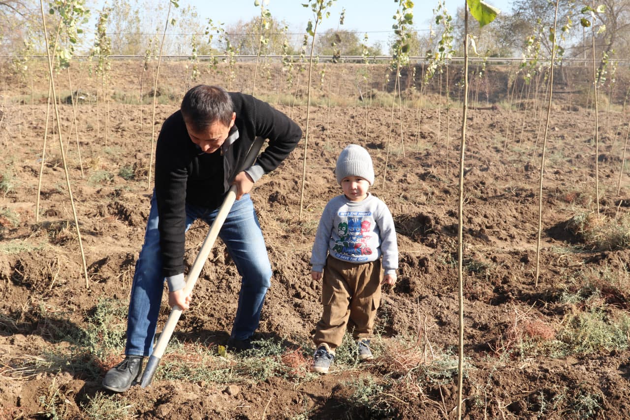 Employees of the Ministry planted saplings in the Akhangaran district as part of the nationwide “Yashil makon” project
