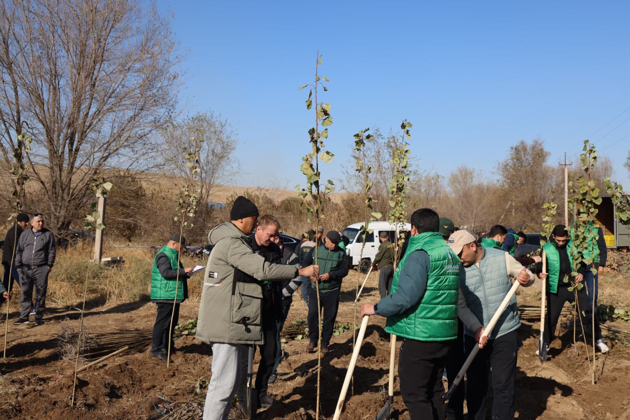 Employees of the Ministry planted saplings in the Akhangaran district as part of the nationwide “Yashil makon” project