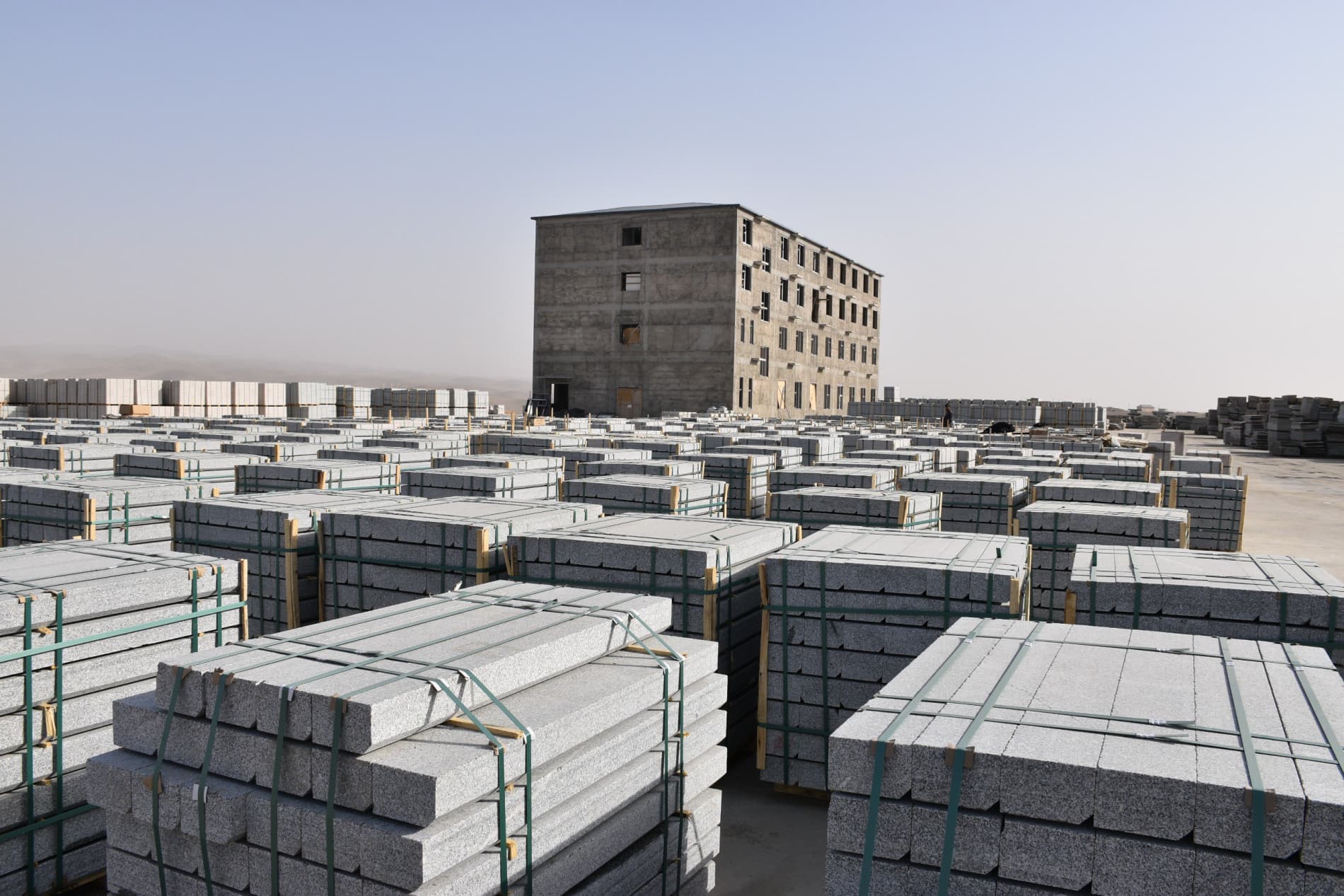 Изучаются возможности социально-экономического развития регионов