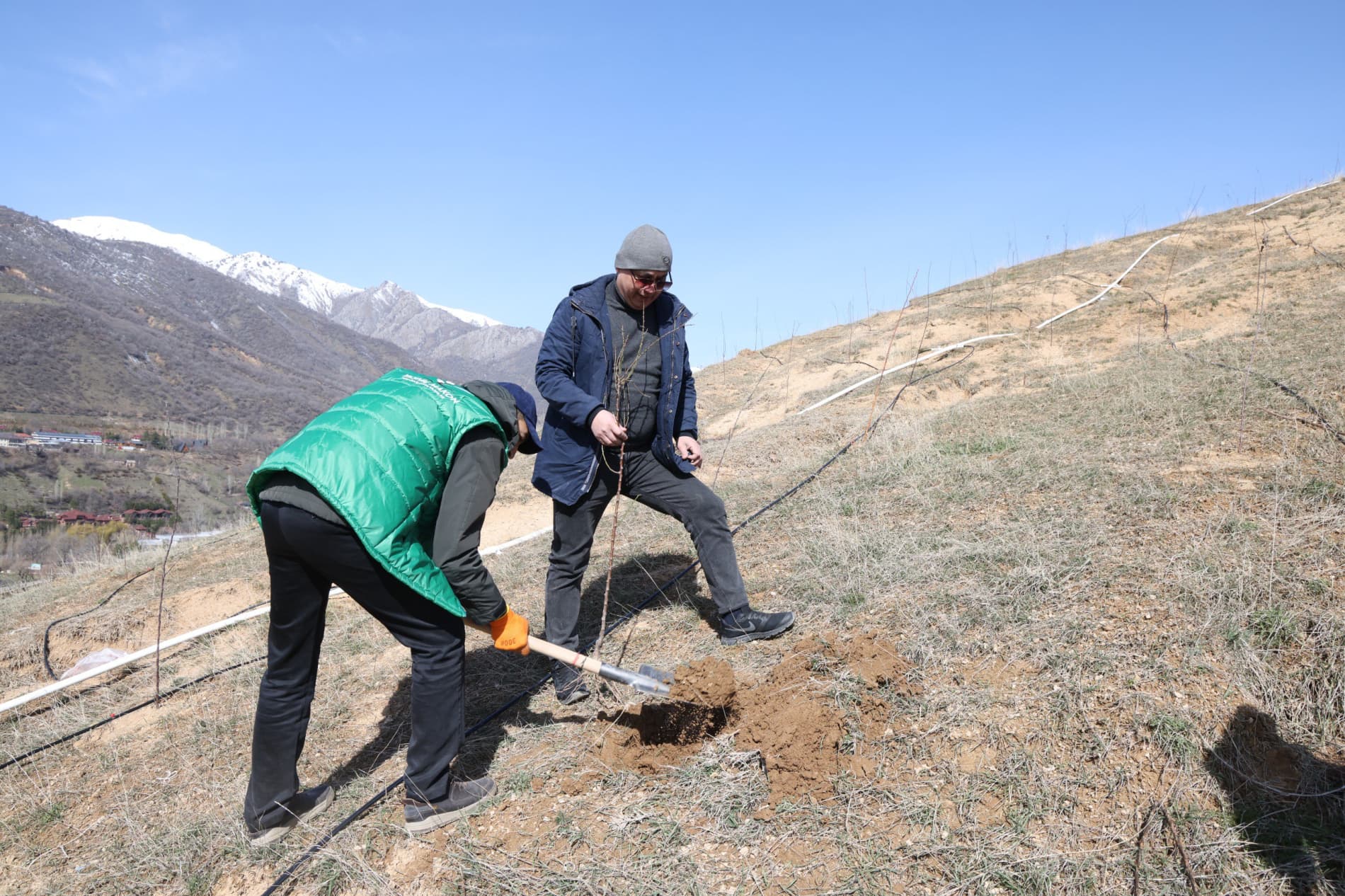 В Бостанлыкском районе высажено 100 деревьев и заложен сад Министерства горнодобывающей промышленности и геологии