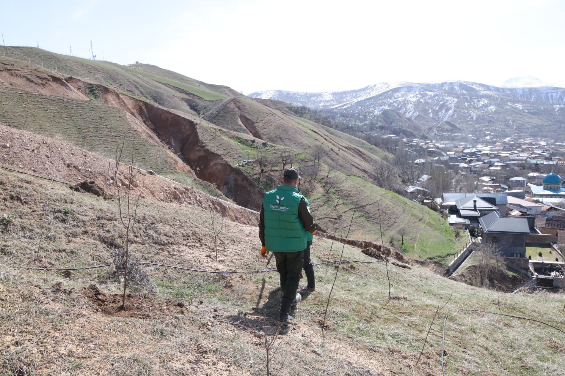 В Бостанлыкском районе высажено 100 деревьев и заложен сад Министерства горнодобывающей промышленности и геологии