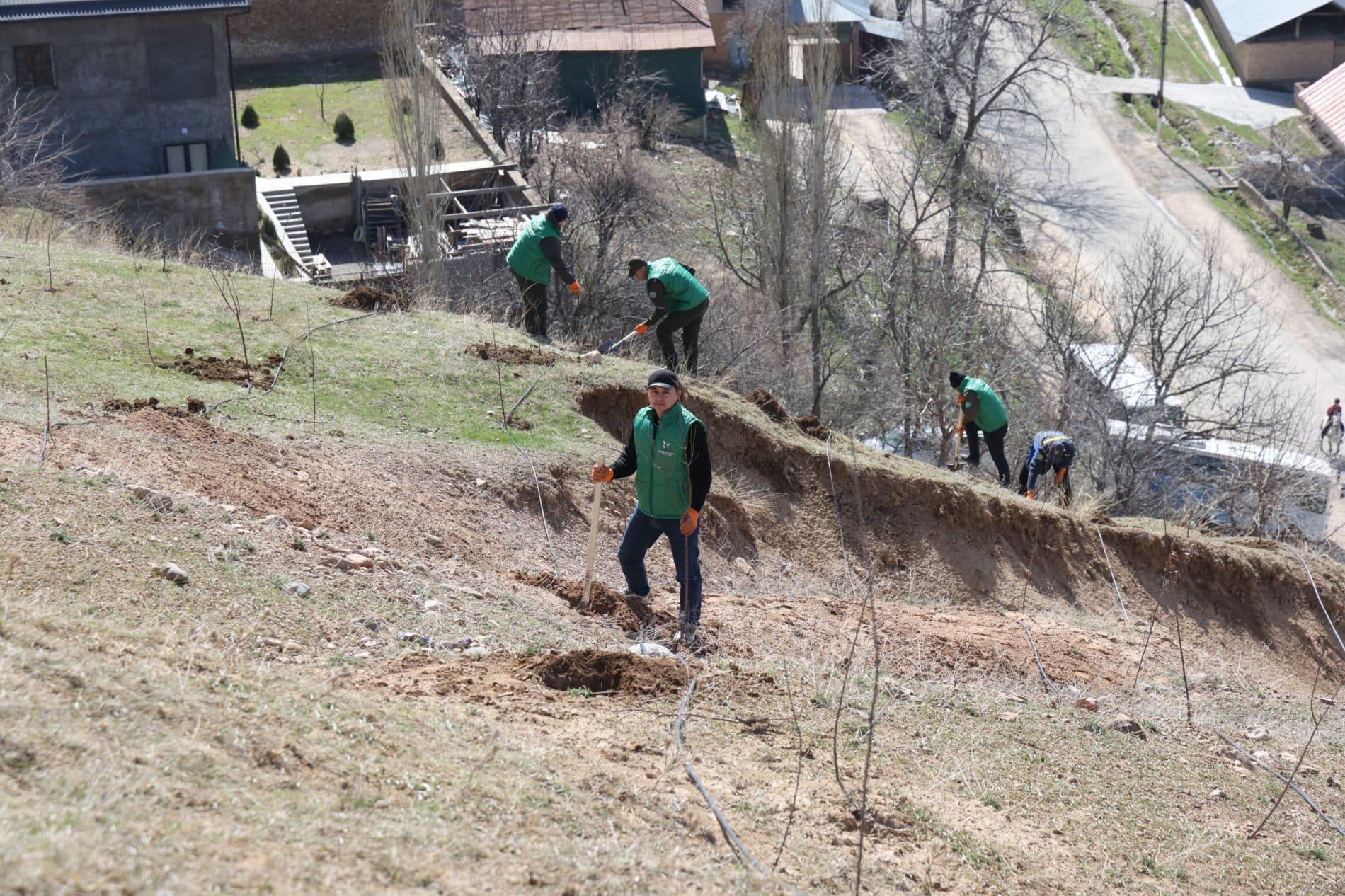 В Бостанлыкском районе высажено 100 деревьев и заложен сад Министерства горнодобывающей промышленности и геологии
