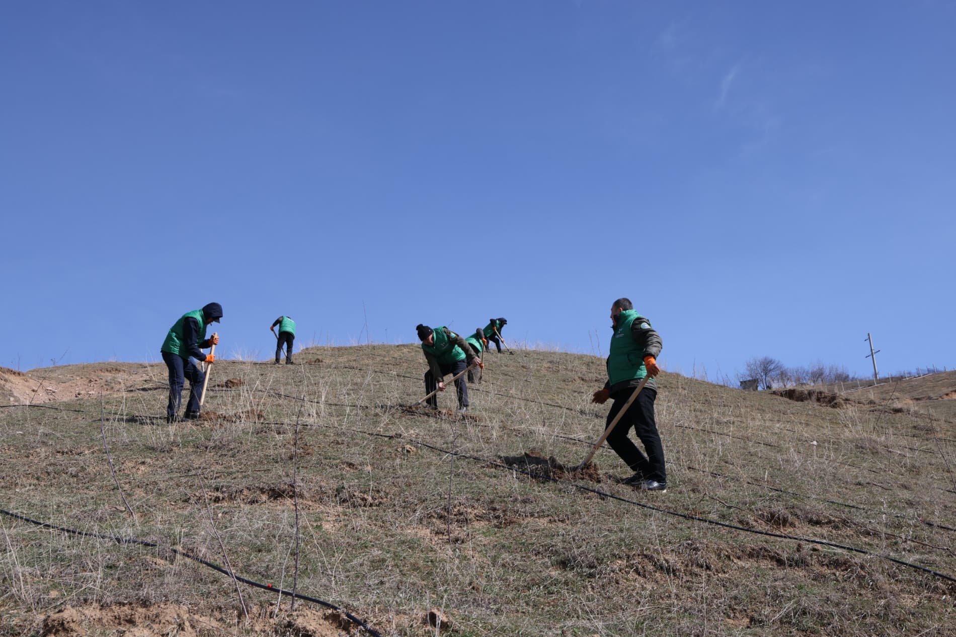 В Бостанлыкском районе высажено 100 деревьев и заложен сад Министерства горнодобывающей промышленности и геологии