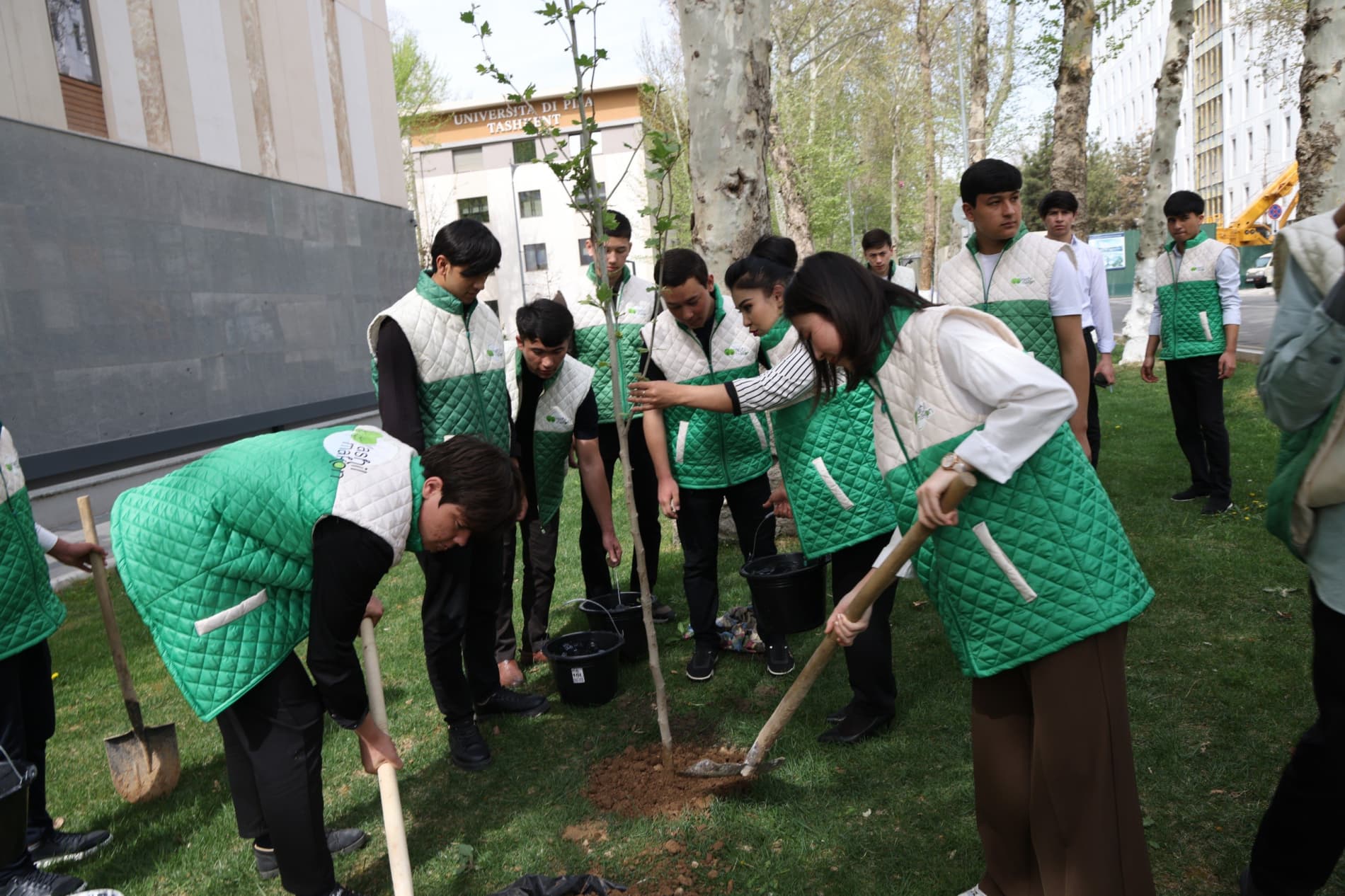 «Yashil makon»: руководители и молодежь совместно высадили саженцы деревьев