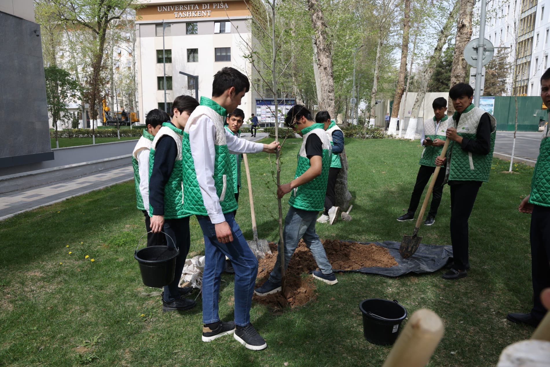 «Yashil makon»: руководители и молодежь совместно высадили саженцы деревьев