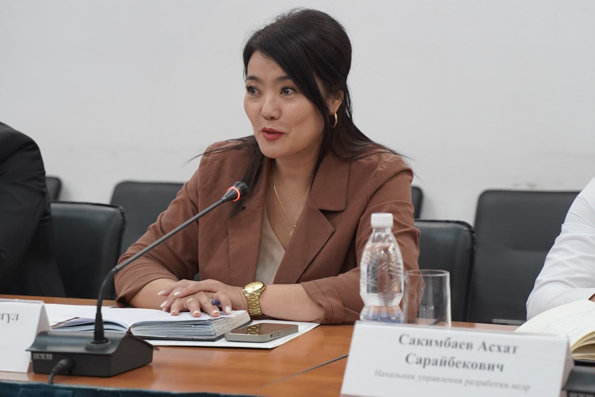 Prospects for Cooperation in Geology and Subsoil Use Discussed in the Kyrgyz Republic