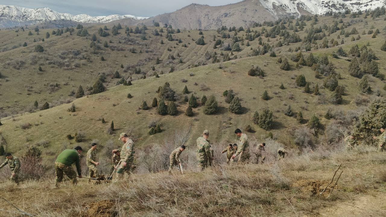 “Yashil makon” umummilliy loyihasi doirasida yangi yashil hududlar barpo etilmoqda