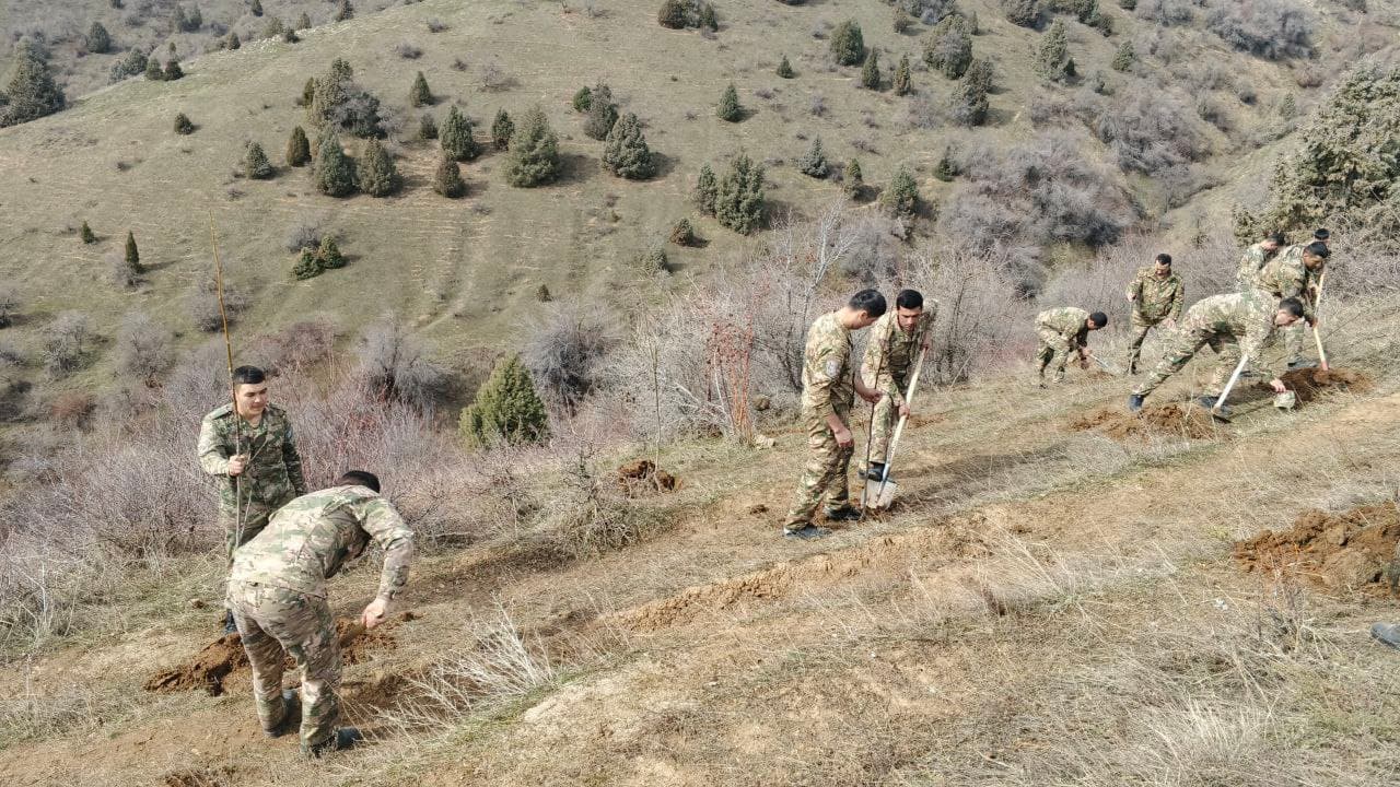 “Yashil makon” umummilliy loyihasi doirasida yangi yashil hududlar barpo etilmoqda