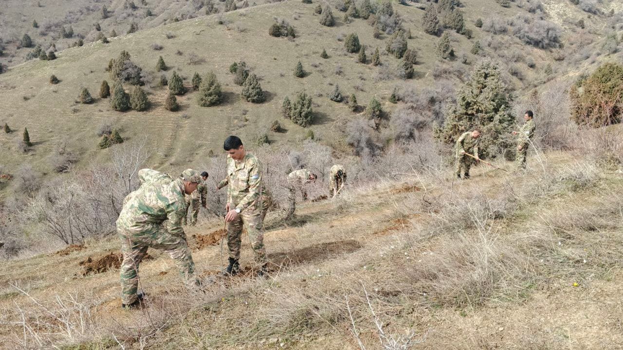 “Yashil makon” umummilliy loyihasi doirasida yangi yashil hududlar barpo etilmoqda