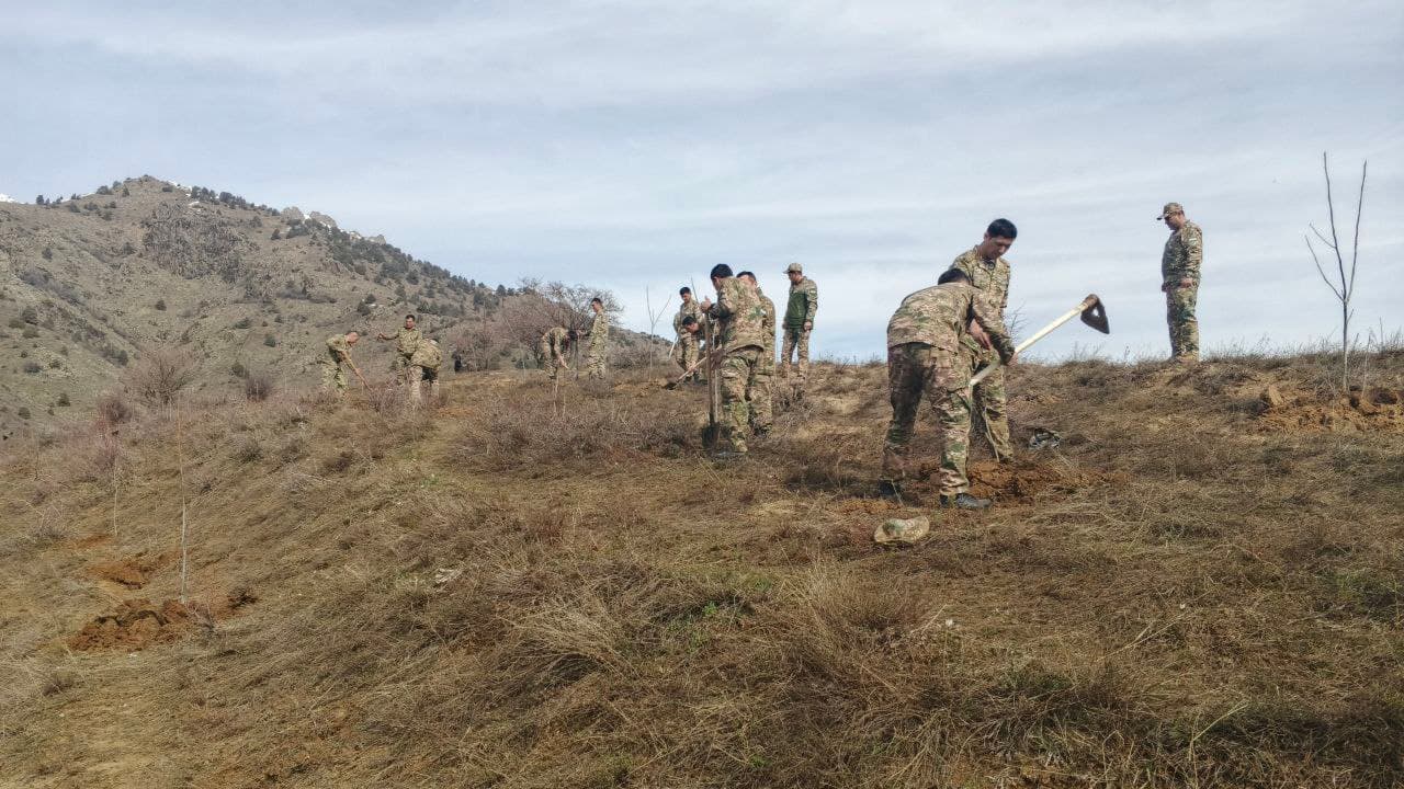 “Yashil makon” umummilliy loyihasi doirasida yangi yashil hududlar barpo etilmoqda