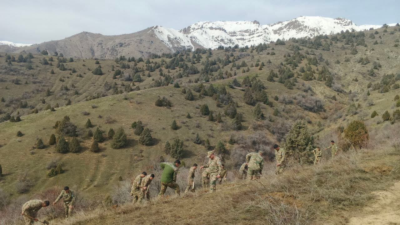 “Yashil makon” umummilliy loyihasi doirasida yangi yashil hududlar barpo etilmoqda