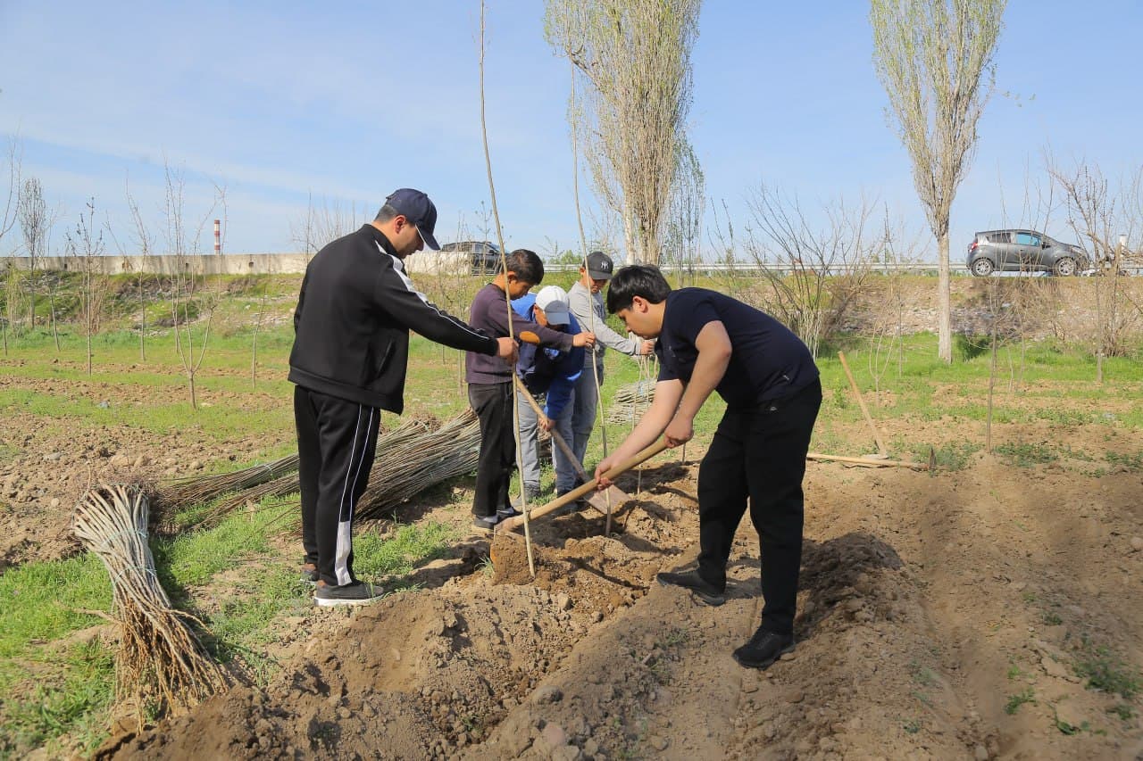Bo‘stonliq tumanida ekologik muhitni yaxshilashga qaratilgan keng ko‘lamli ishlar davom etmoqda