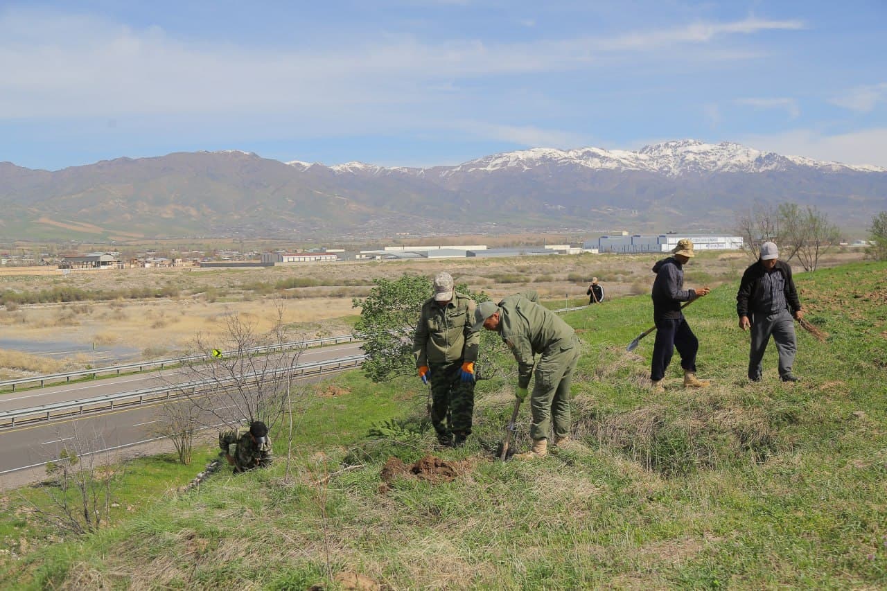Bo‘stonliq tumanida ekologik muhitni yaxshilashga qaratilgan keng ko‘lamli ishlar davom etmoqda