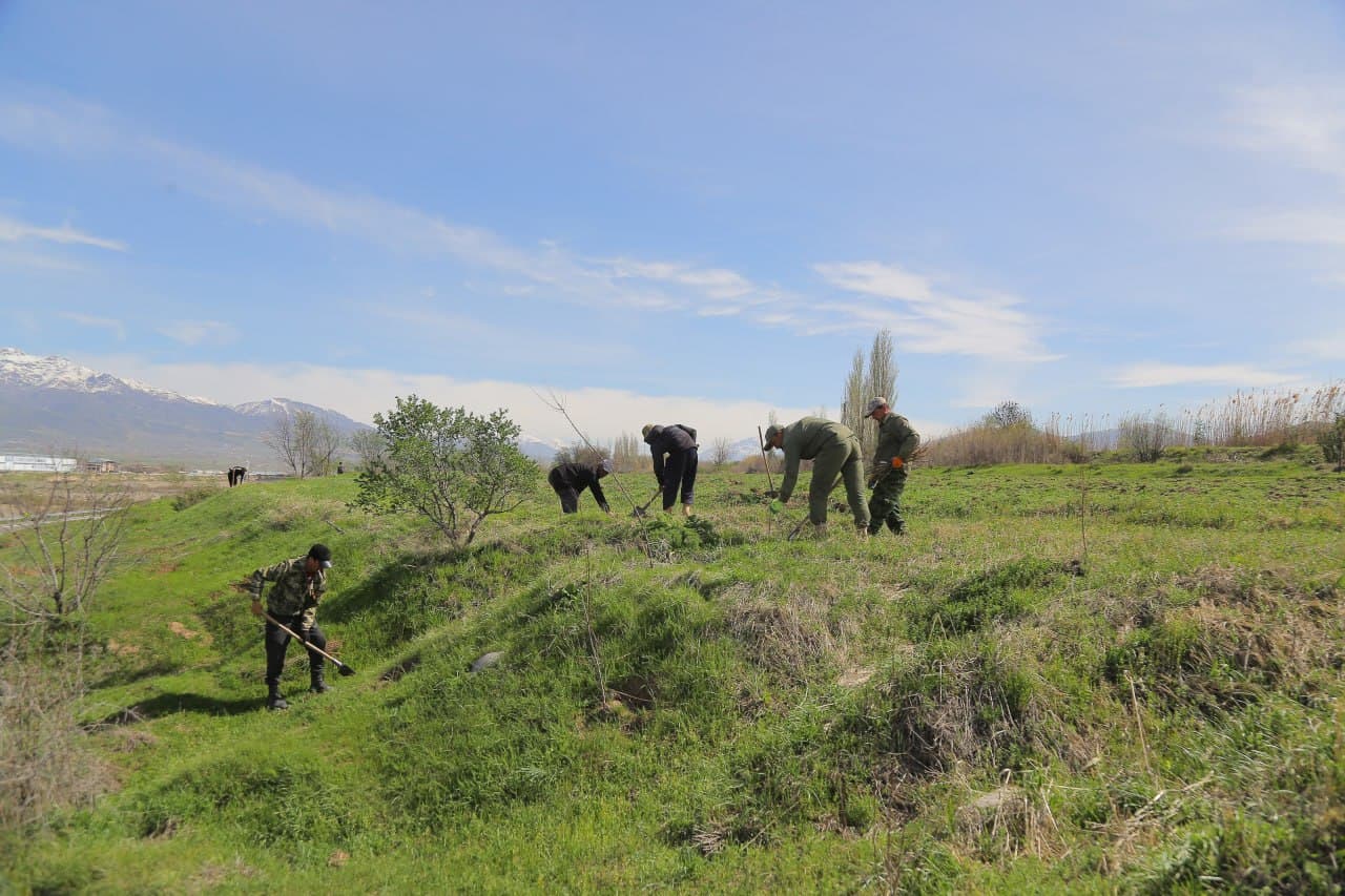 Bo‘stonliq tumanida ekologik muhitni yaxshilashga qaratilgan keng ko‘lamli ishlar davom etmoqda
