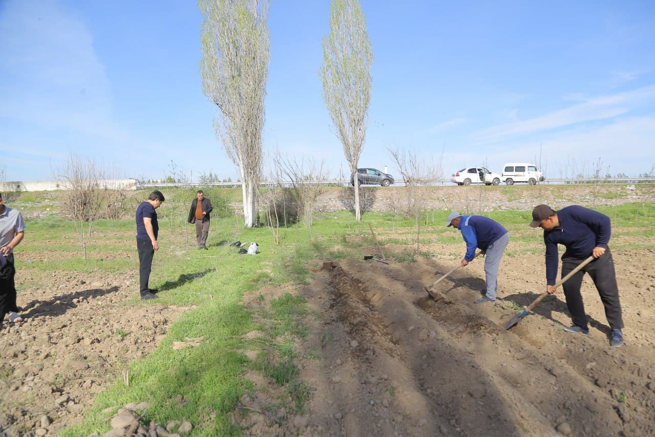 Bo‘stonliq tumanida ekologik muhitni yaxshilashga qaratilgan keng ko‘lamli ishlar davom etmoqda
