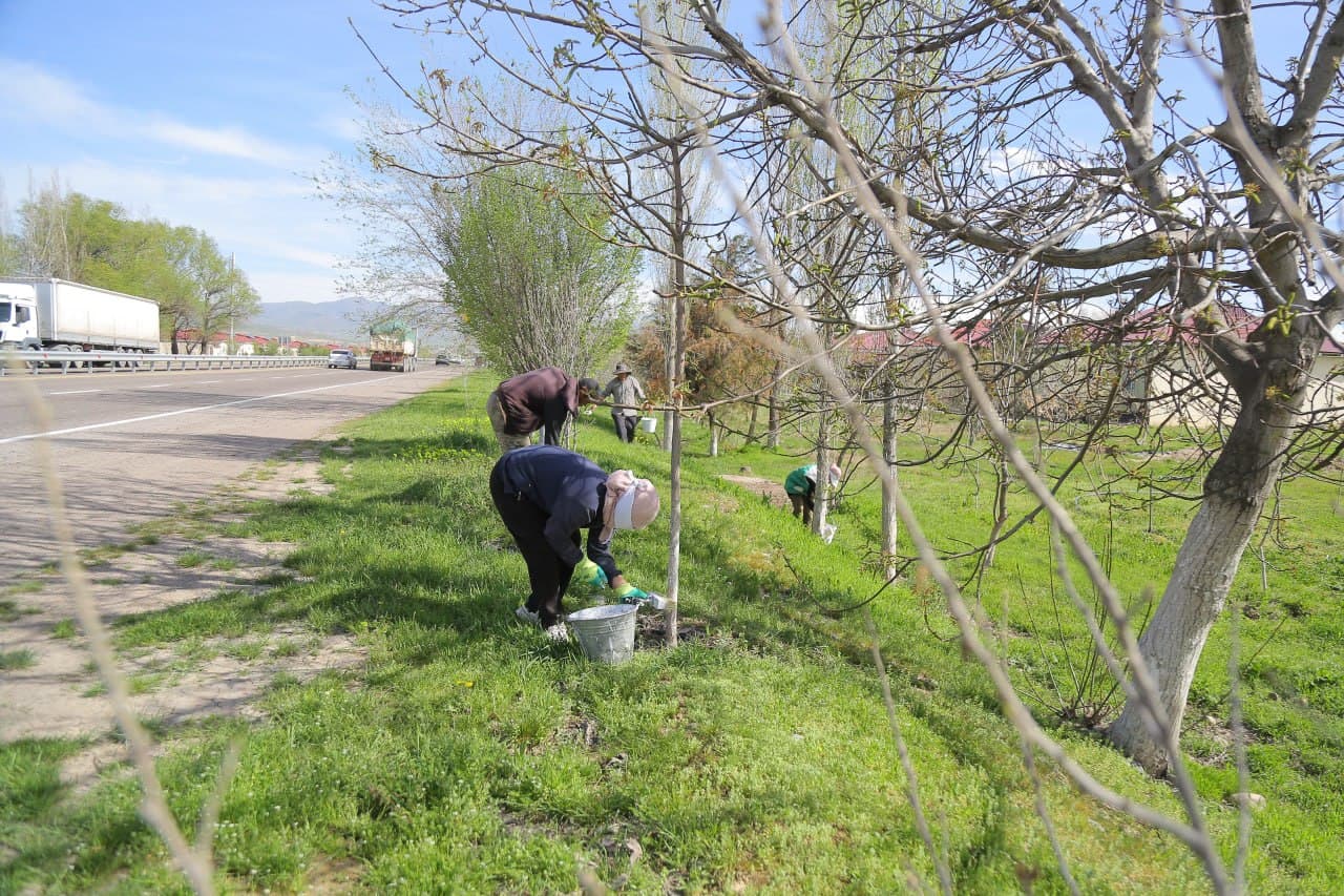 Bo‘stonliq tumanida ekologik muhitni yaxshilashga qaratilgan keng ko‘lamli ishlar davom etmoqda