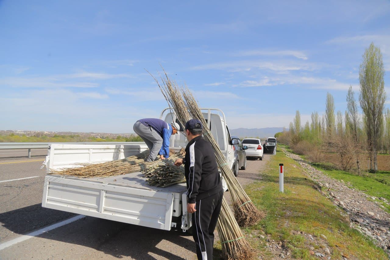Bo‘stonliq tumanida ekologik muhitni yaxshilashga qaratilgan keng ko‘lamli ishlar davom etmoqda