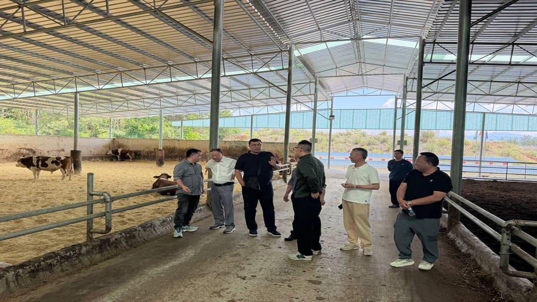 Jondor tumani delegatsiyasi Xitoy tadbirkorlari bilan istiqbolli loyihalarni muhokama qildi