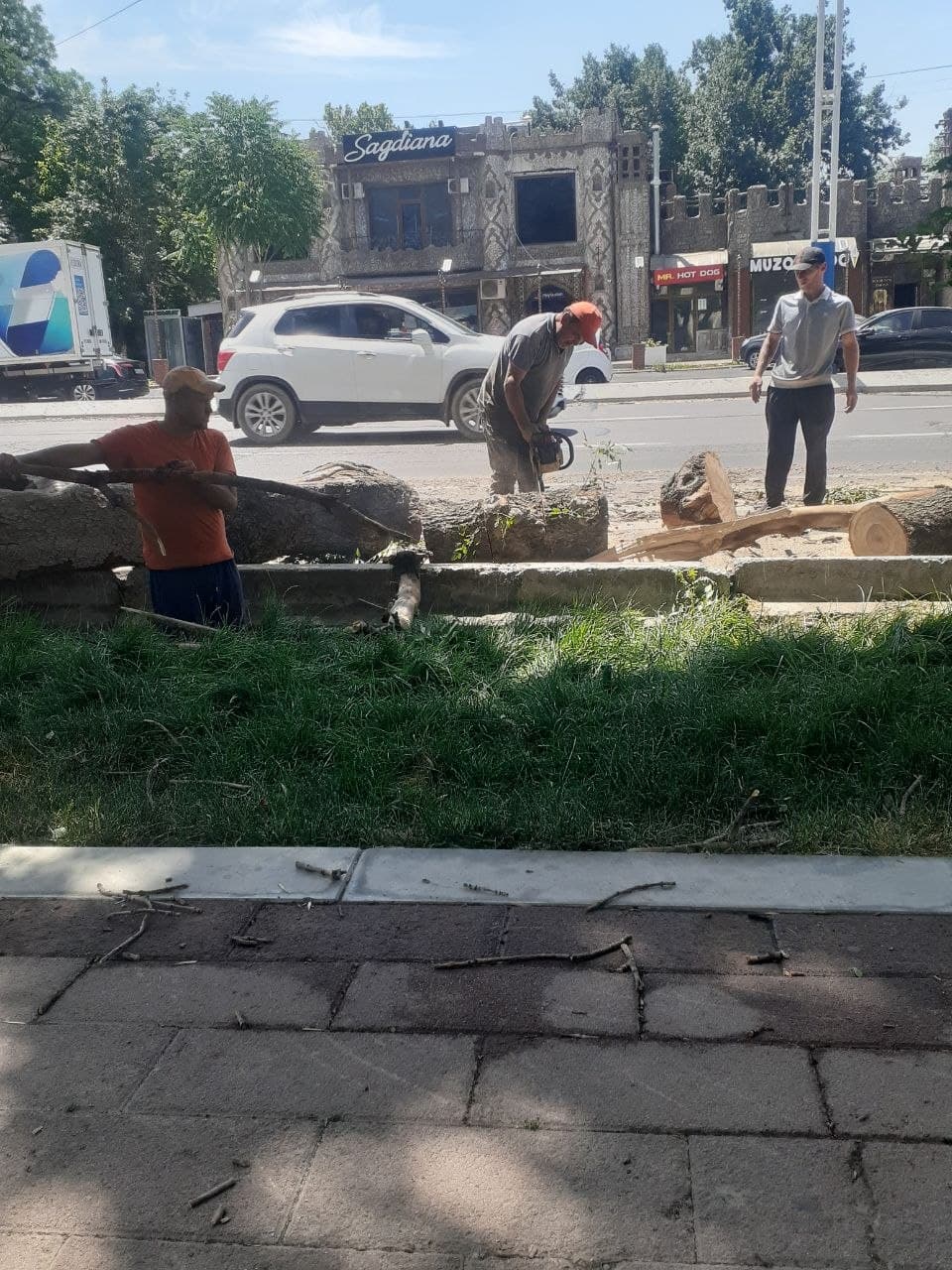 Расмий муносабат