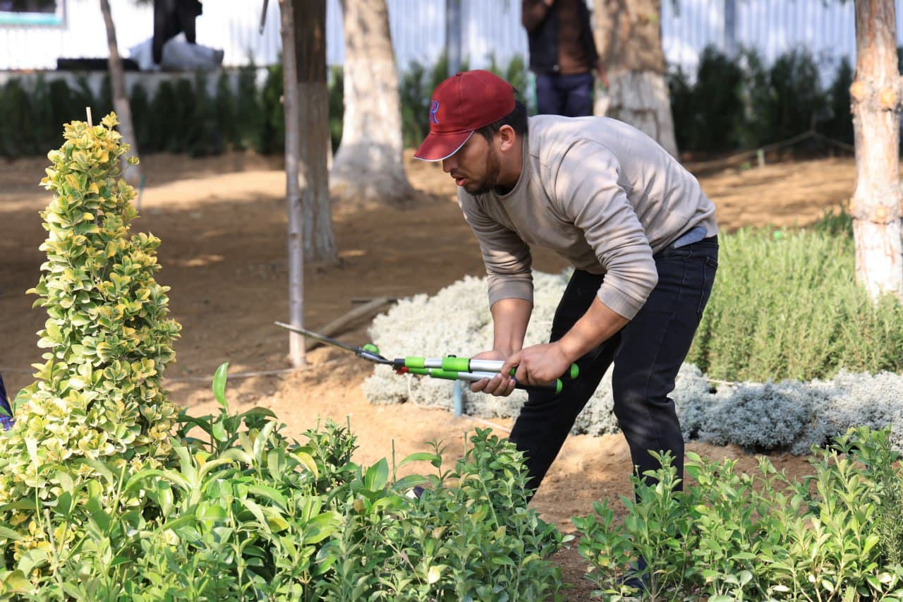 Госпитальный рынок: гармония традиций и современного развития
