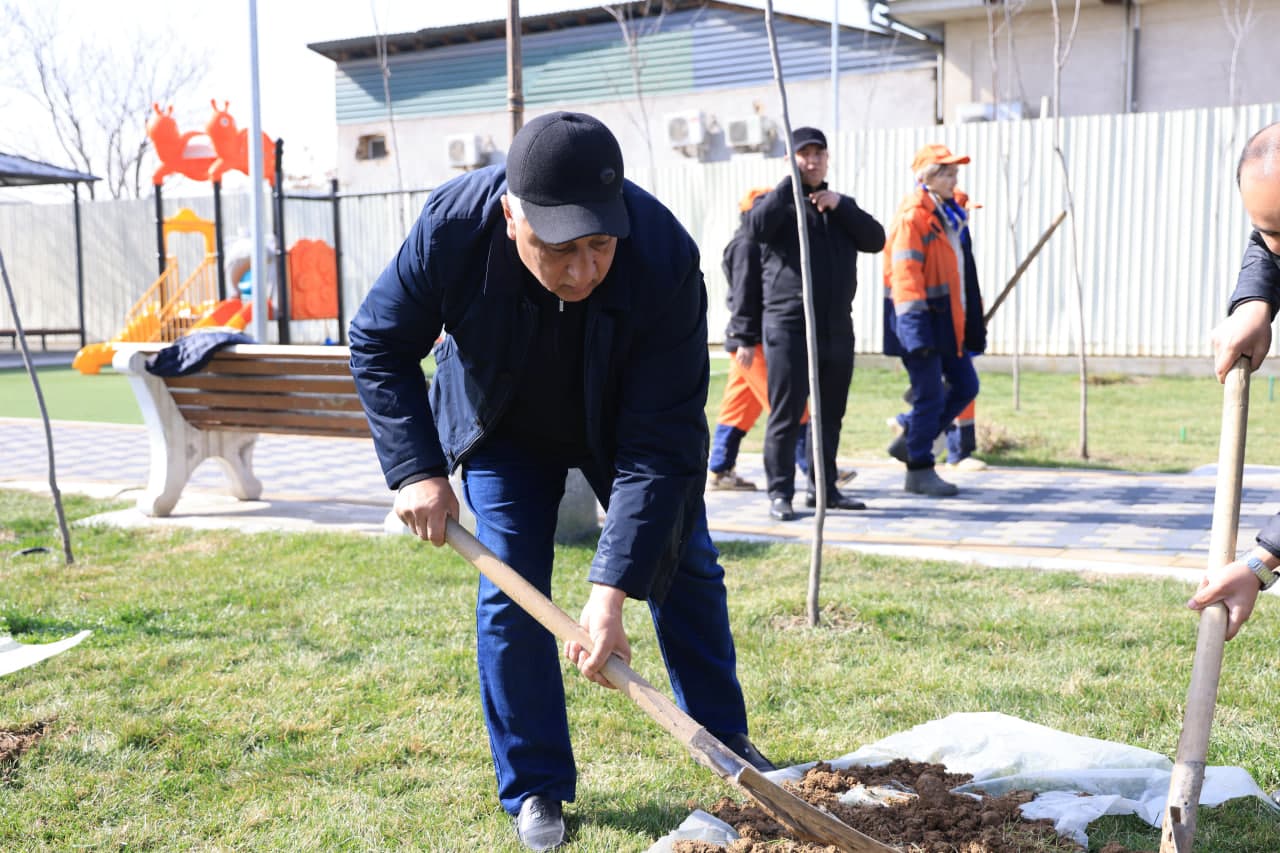 Стартовала акция "Я тоже посажу дерево"