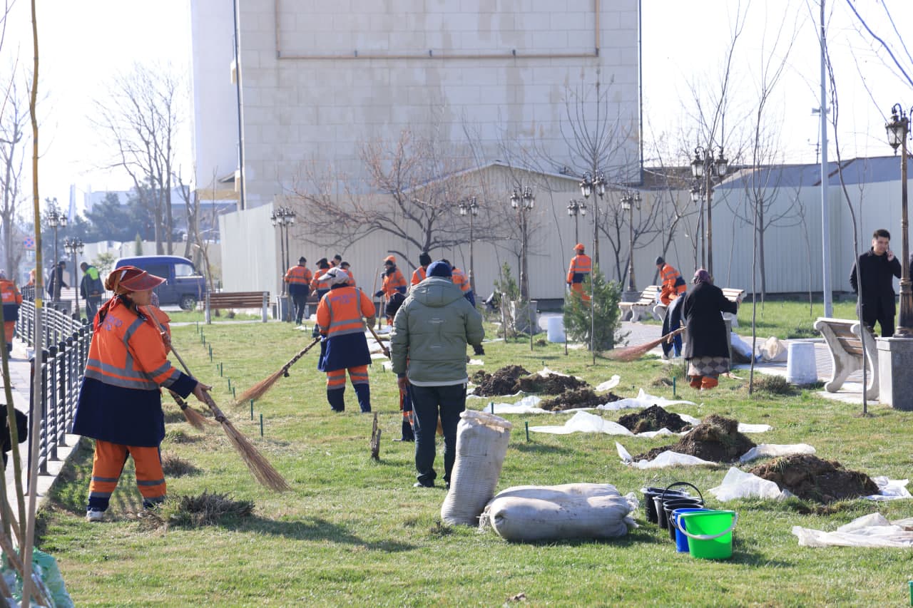 Стартовала акция "Я тоже посажу дерево"