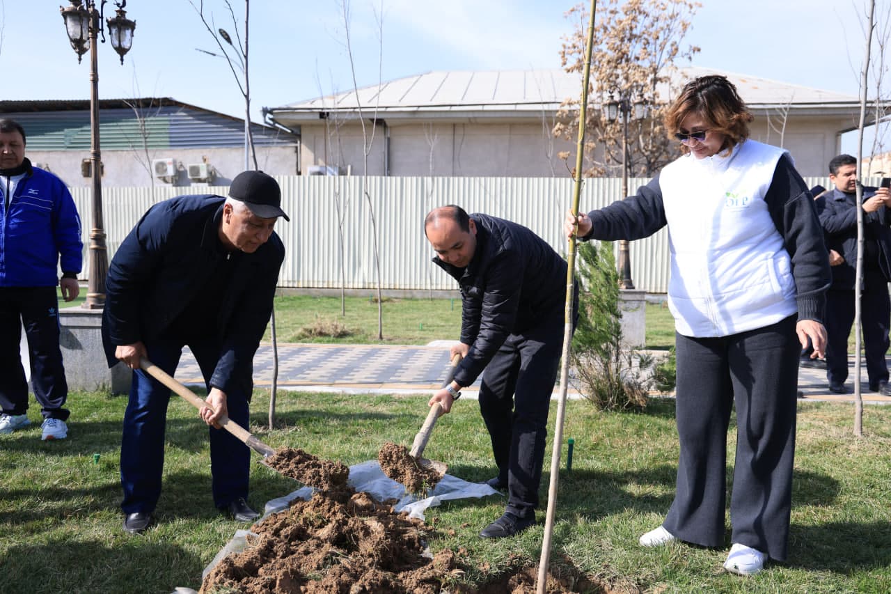 Стартовала акция "Я тоже посажу дерево"