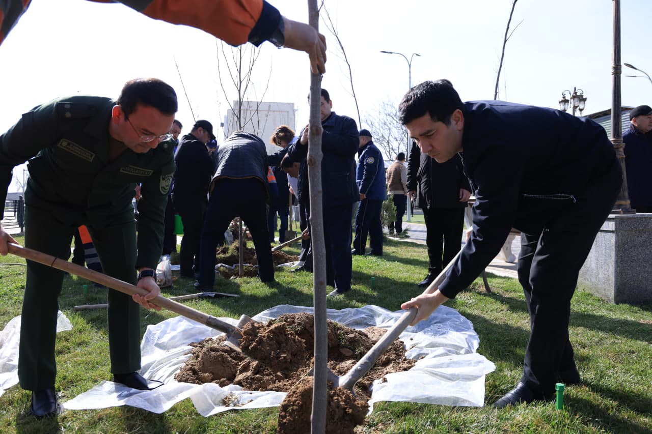 Стартовала акция "Я тоже посажу дерево"