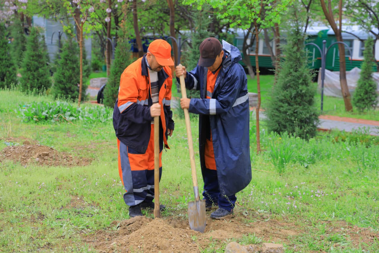 Mirobod tumanida “Yashil makon” umummilliy loyihasi doirasida amaliy ishlar izchil davom etmoqda